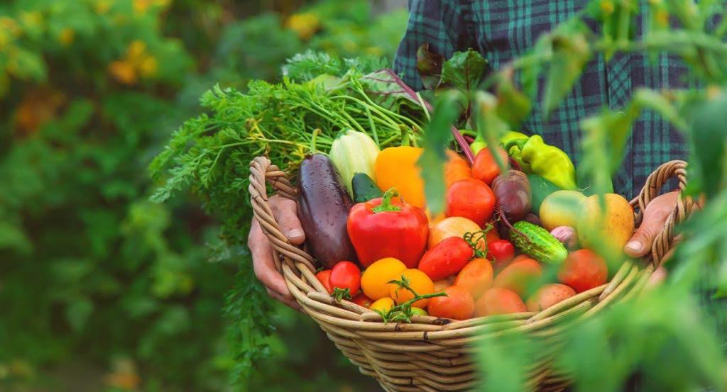 Nabeul Launch of Koffa-App